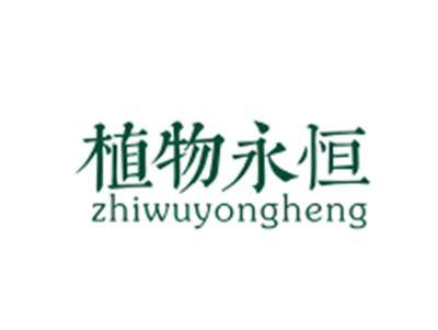 植物永恒ZHIWUYONGHENG