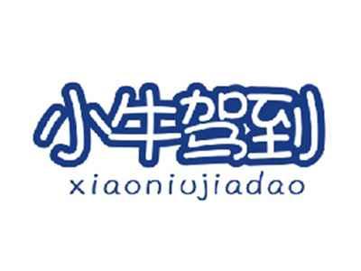 小牛驾到XIAONIUJIADAO