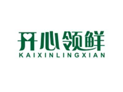 开心领鲜KAIXINLINGXIAN