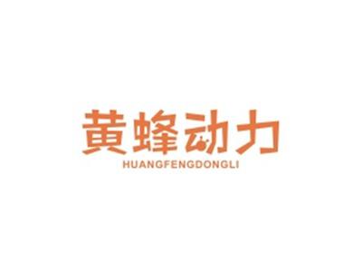 黄蜂动力HUANGFENGDONGLI