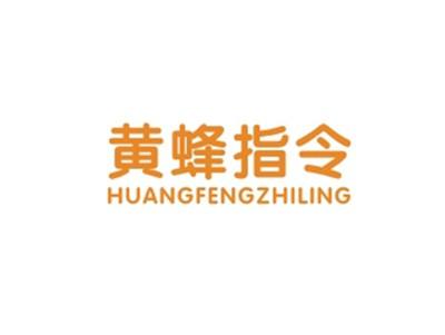 黄蜂指令HUANGFENGZHILING