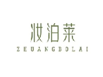 妆泊莱ZHUANGBOLAI