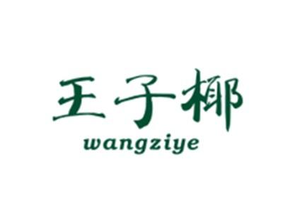 王子椰WANGZIYE