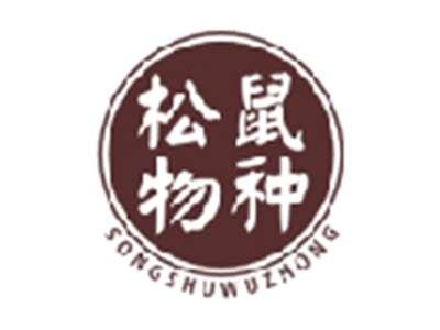 松鼠物种SONGSHUWUZHONG
