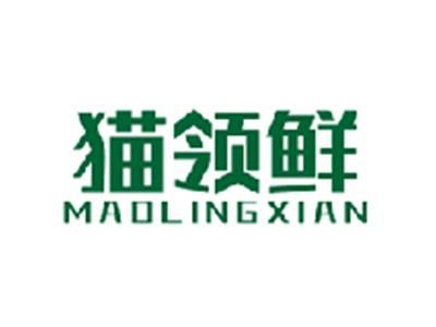 猫领鲜MAOLINGXIAN