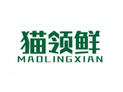 猫领鲜MAOLINGXIAN