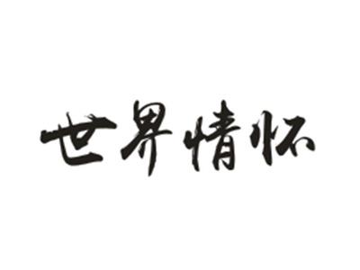 世界情怀
