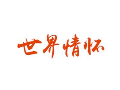 世界情怀