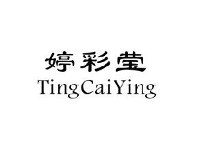 婷彩莹,TINGCAIYING
