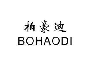 柏豪迪,BOHAODI