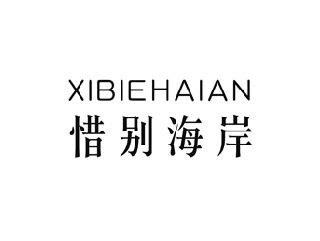 惜别海岸