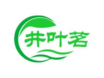 井叶茗