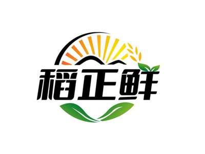 稻正鲜