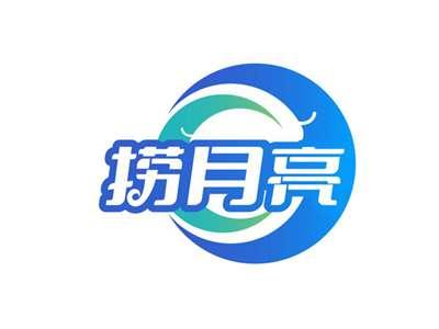 捞月亮