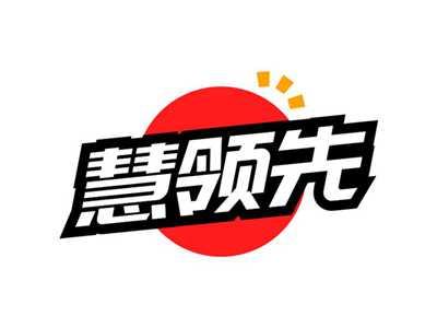 慧领先