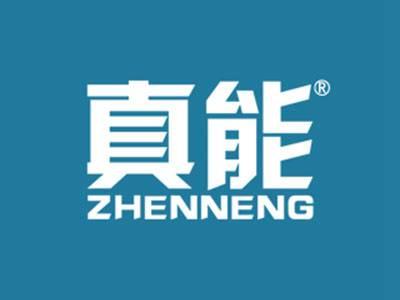 真能
