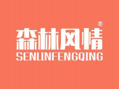 森林风情