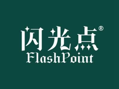 闪光点FLASHPOINT