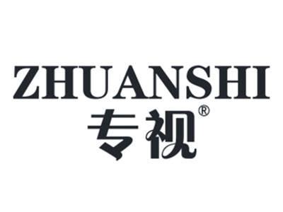 专视