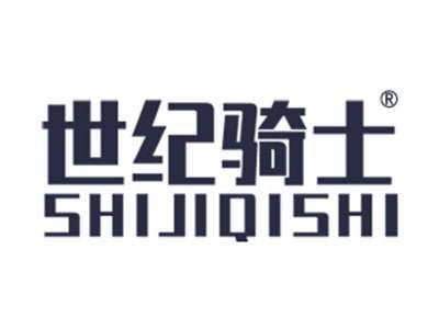 世纪骑士