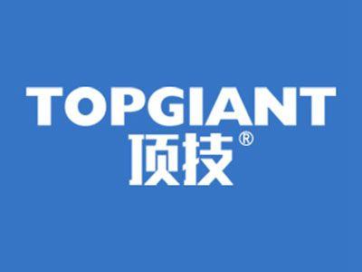 顶技TOPGIANT