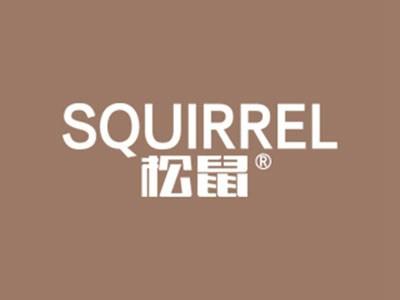 松鼠SQUIRREL