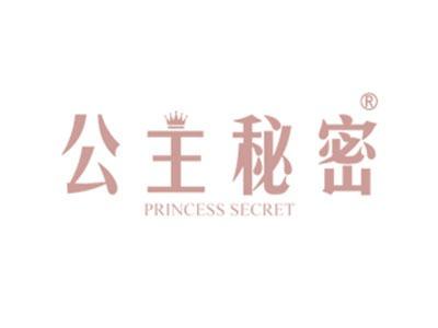 公主秘密PRINCESSSECRET