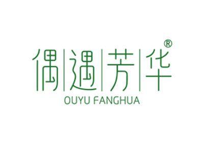 偶遇芳华