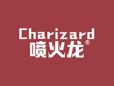 喷火龙CHARIZARD
