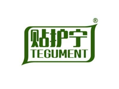 贴护宁TEGUMENT
