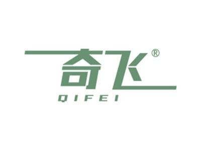 奇飞