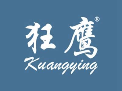 狂鹰