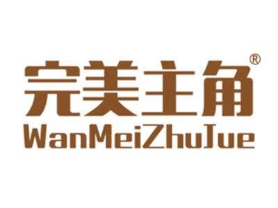 完美主角