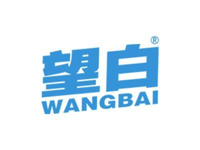 望白