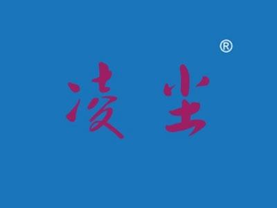 凌尘