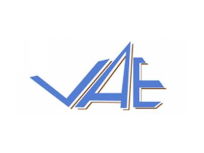 VAE