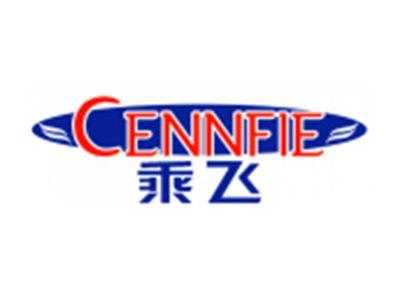 乘飞