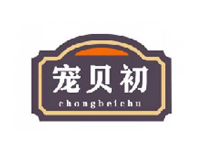 宠贝初