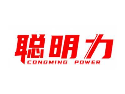 聪明力