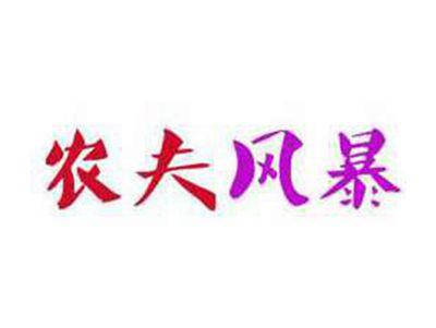 农夫风暴