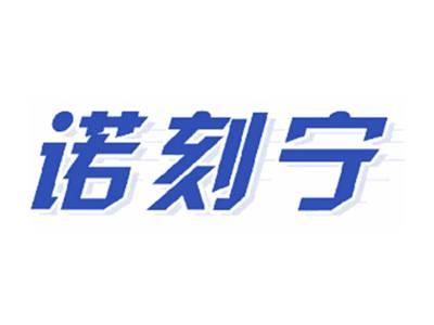诺刻宁