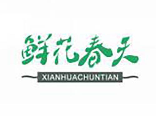 鲜花春天