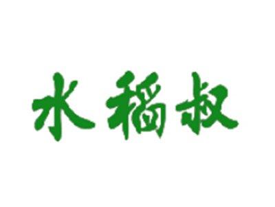 水稻叔