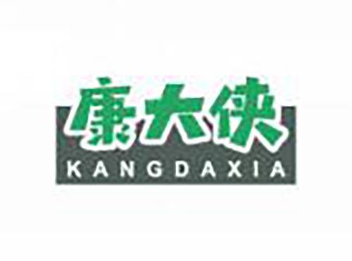 康大侠