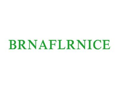 BRNAFLRNICE