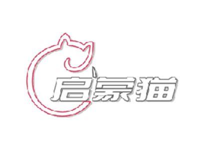 启蒙猫