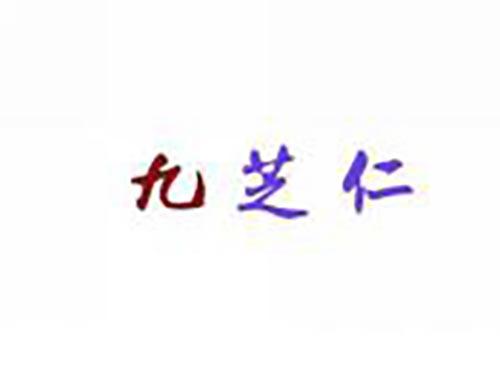九芝仁