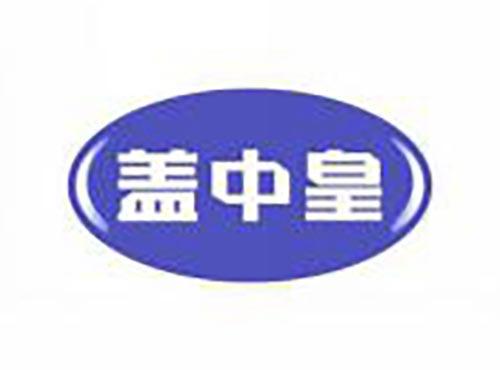 盖中皇