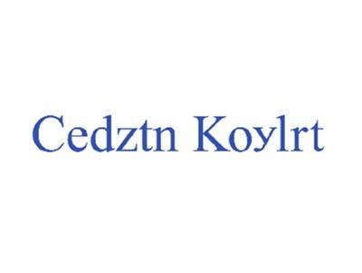 CEDZTNKOYLRT