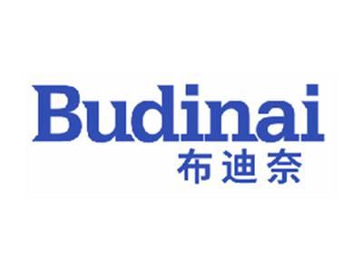 布迪奈